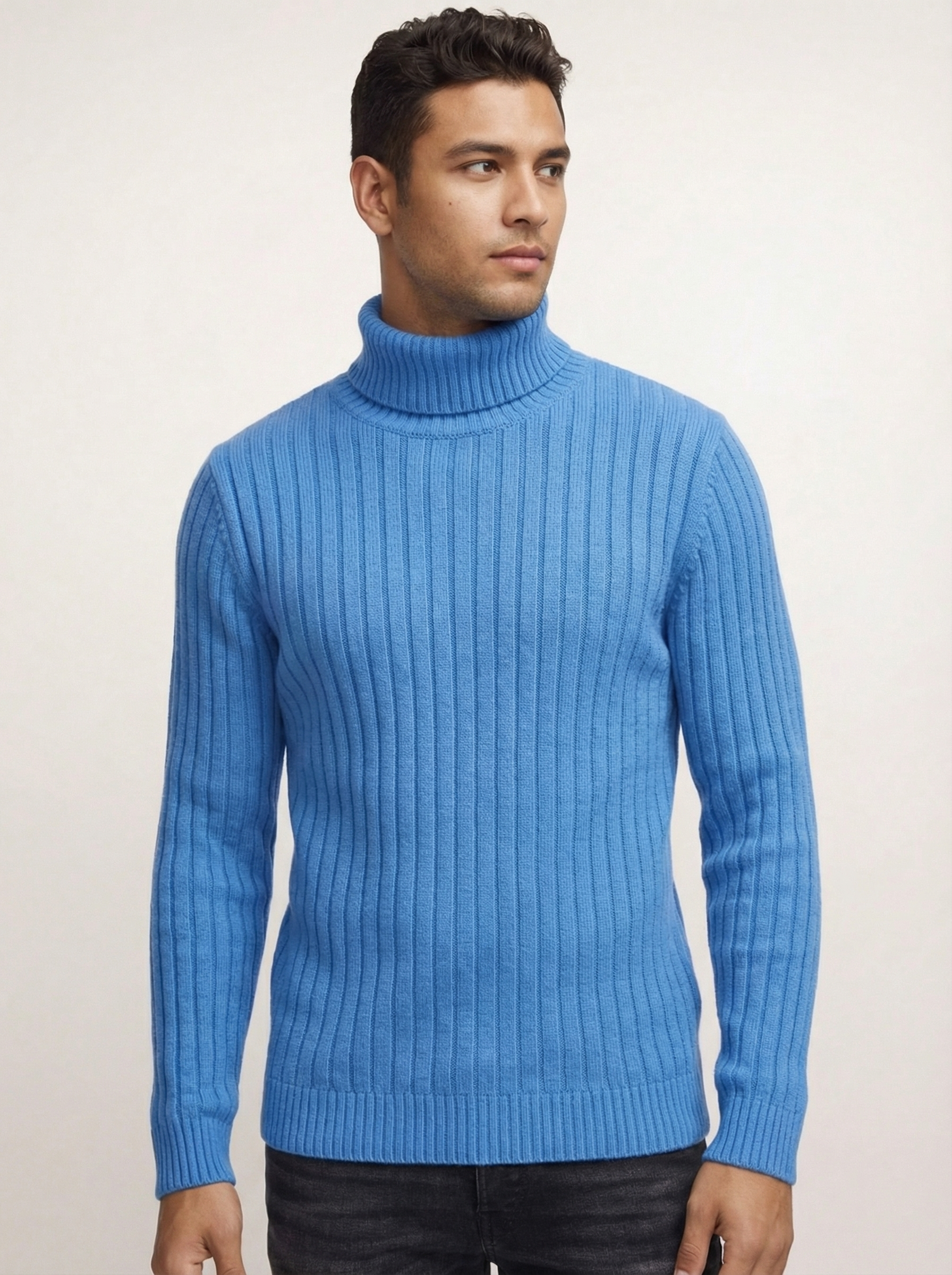 THE HEIGHT TURTLENECK